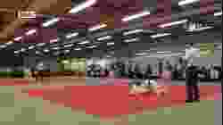 Mat 3 - EA Open - Contest 71