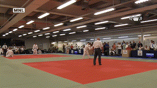 Mat 3 - EA Open - Contest 50