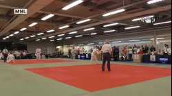 Mat 3 - EA Open - Contest 50