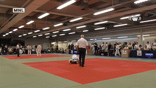 Mat 3 - EA Open - Contest 45
