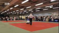 Mat 3 - EA Open - Contest 45