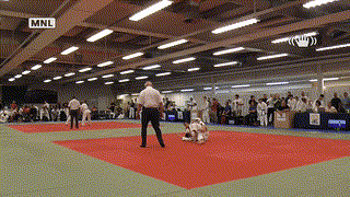 Mat 3 - EA Open - Contest 42