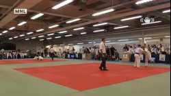 Mat 3 - EA Open - Contest 41