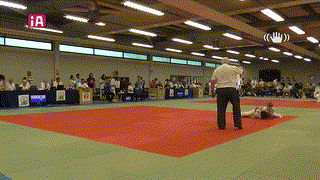Mat 2 - EA Open - Contest 67