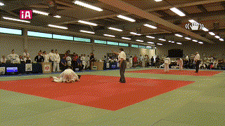 Mat 2 - EA Open - Contest 33