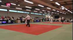 Mat 2 - EA Open - Contest 19