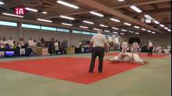 Mat 2 - EA Open - Contest 15