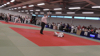 Mat 1 - EA Open - Contest 75