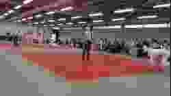 Mat 1 - EA Open - Contest 71