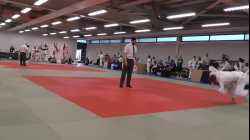 Mat 1 - EA Open - Contest 71