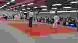 Mat 1 - EA Open - Contest 68
