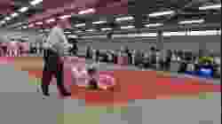 Mat 1 - EA Open - Contest 37