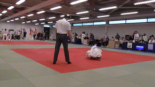 Mat 1 - EA Open - Contest 13